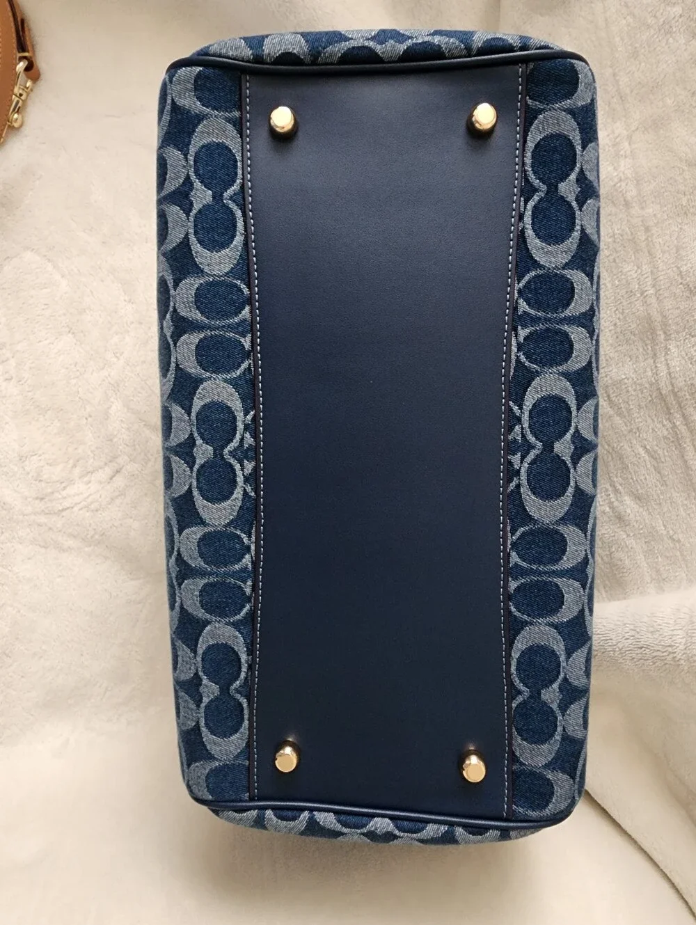 Coach dark signature